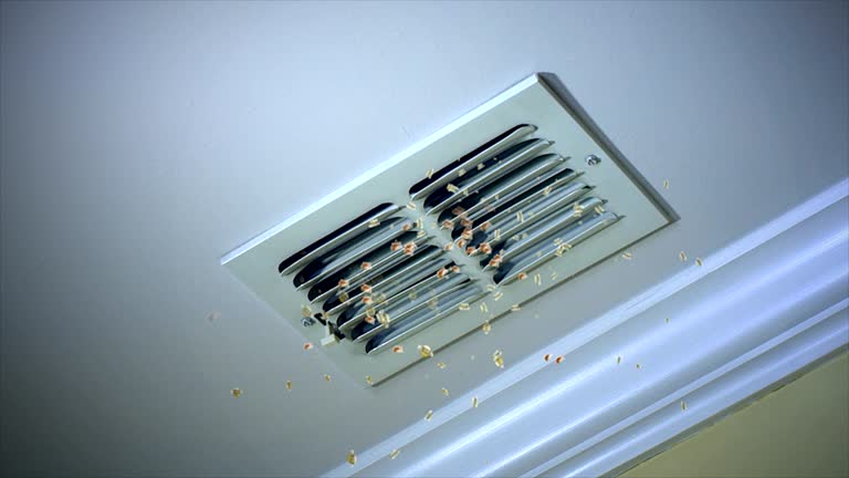 Best Air Duct Cleaning Company Near Me  in Newtown, OH